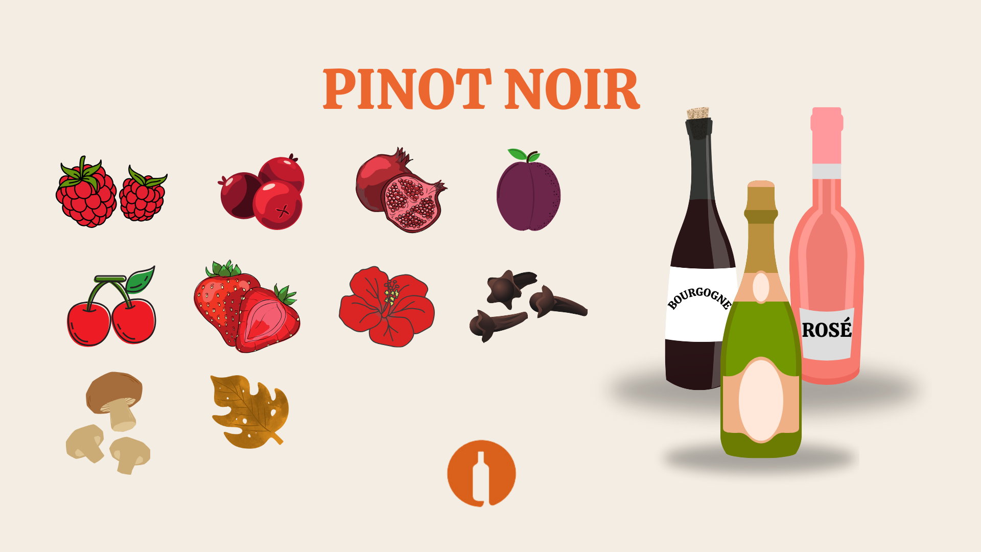 Tutvume viinamarjasordiga – Pinot Noir!
