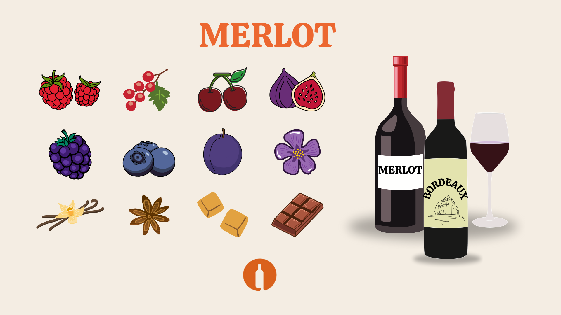 Tutvume viinamarjasordiga – Merlot!