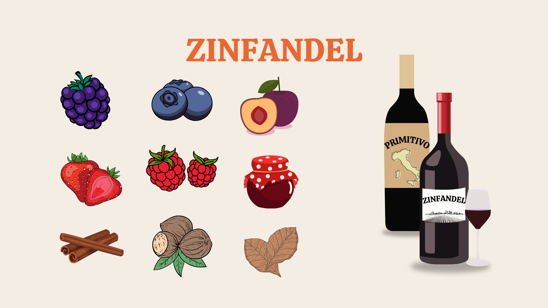 Tutvume viinamarjasordiga – Zinfandel! 