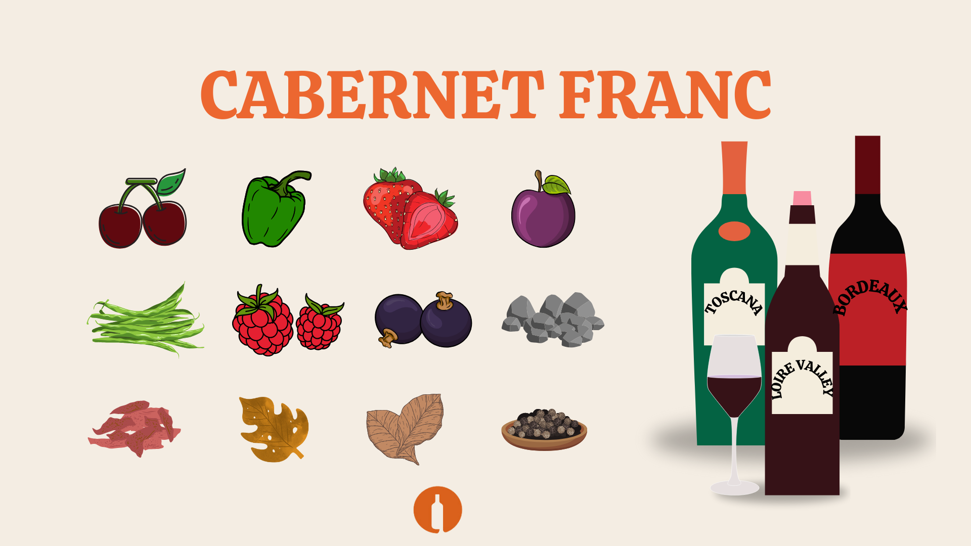 Tutvume viinamarjasordigav – Cabernet Franc!