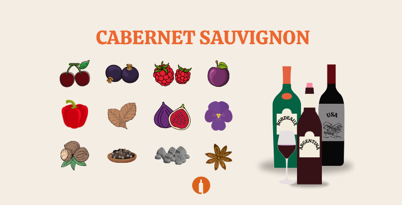 Tutvume viinamarjasordiga – Cabernet Sauvignon!