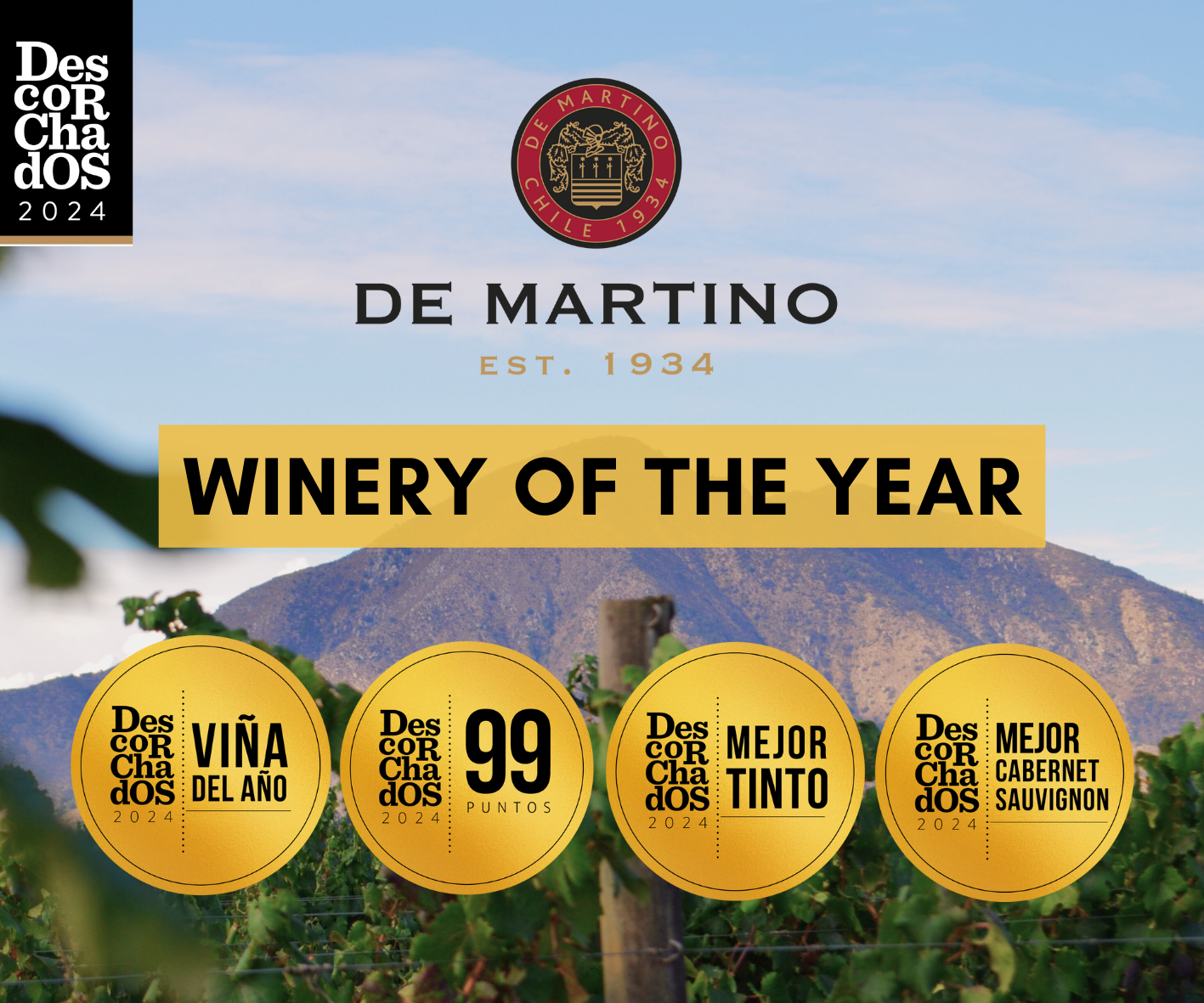 De Martino veinimõis – Tšiili Aasta Veinimõis 2024!