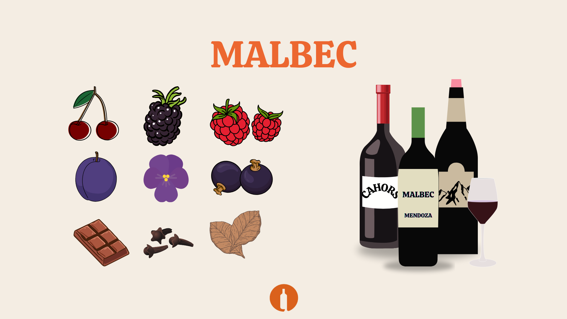 Tutvume viinamarjasordiga – Malbec!