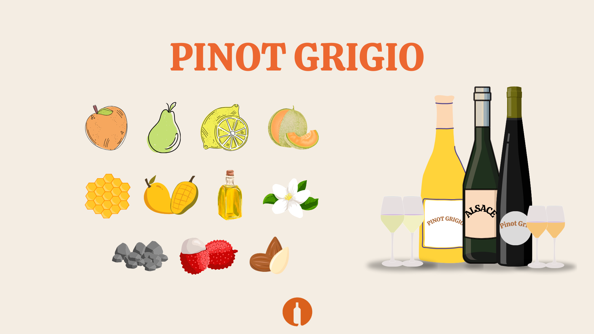 Tutvume viinamarjasordiga – Pinot Grigio!